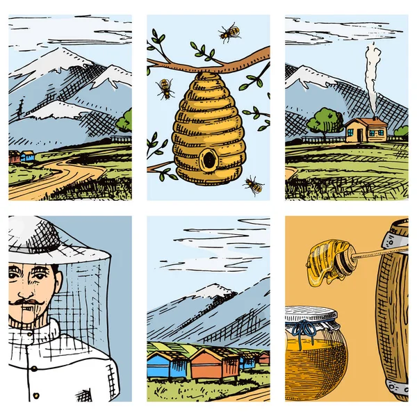 Apiário fazenda vetor cartões mão desenhada vintage querido fazer produto de natureza agricultor apicultor ilustração por abelha —  Vetores de Stock