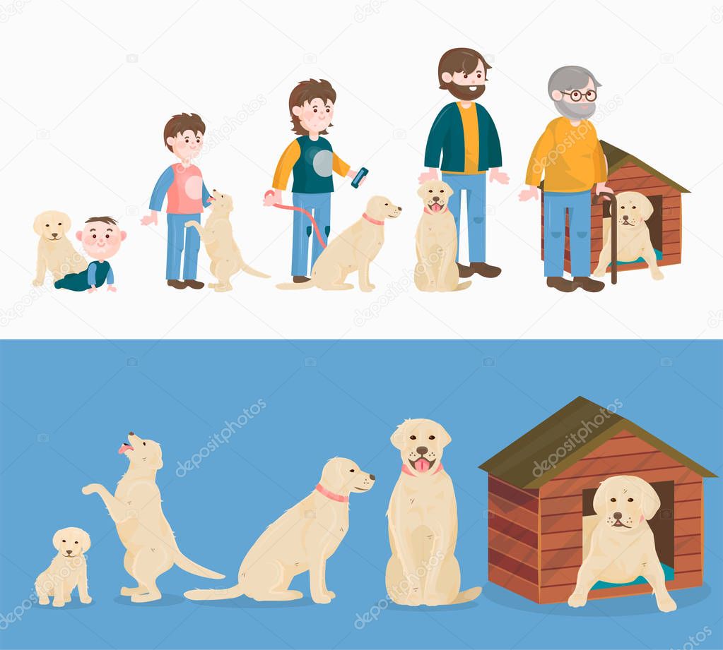 Child growth vector dog growing and aging concept from baby or puppy to aged man or old pet character illustration set of the cycle of life from childhood to elderly isolated on background