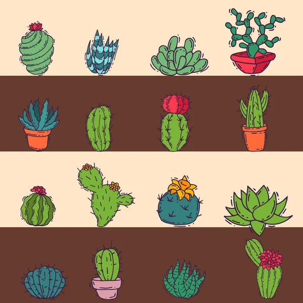 Cactus home scheda natura vettoriale illustrazione della pianta verde albero cactus con fiore — Vettoriale Stock