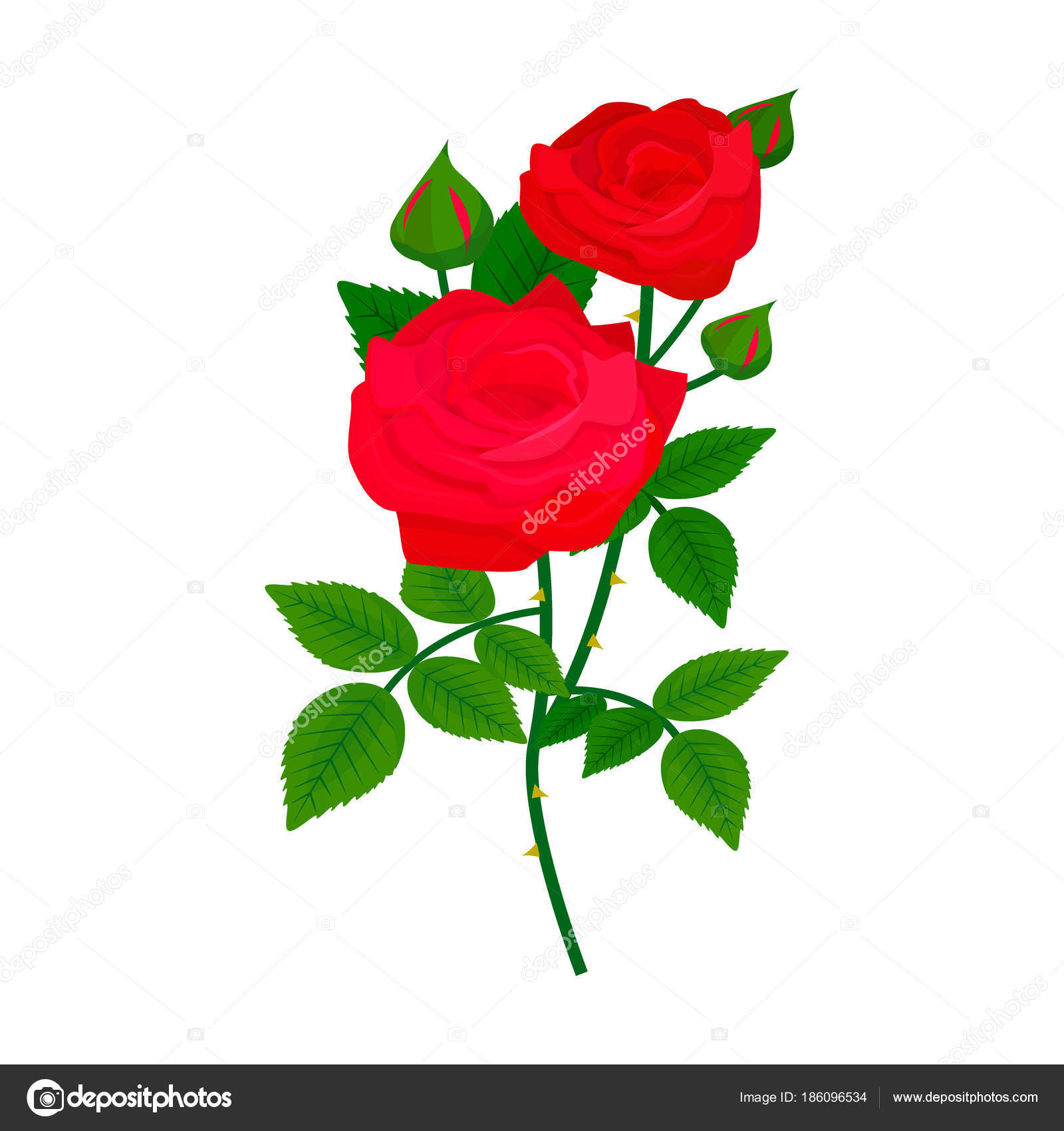 Beautiful rose flower with place for text Vector illustration Stock Vector  Image  Art  Alamy