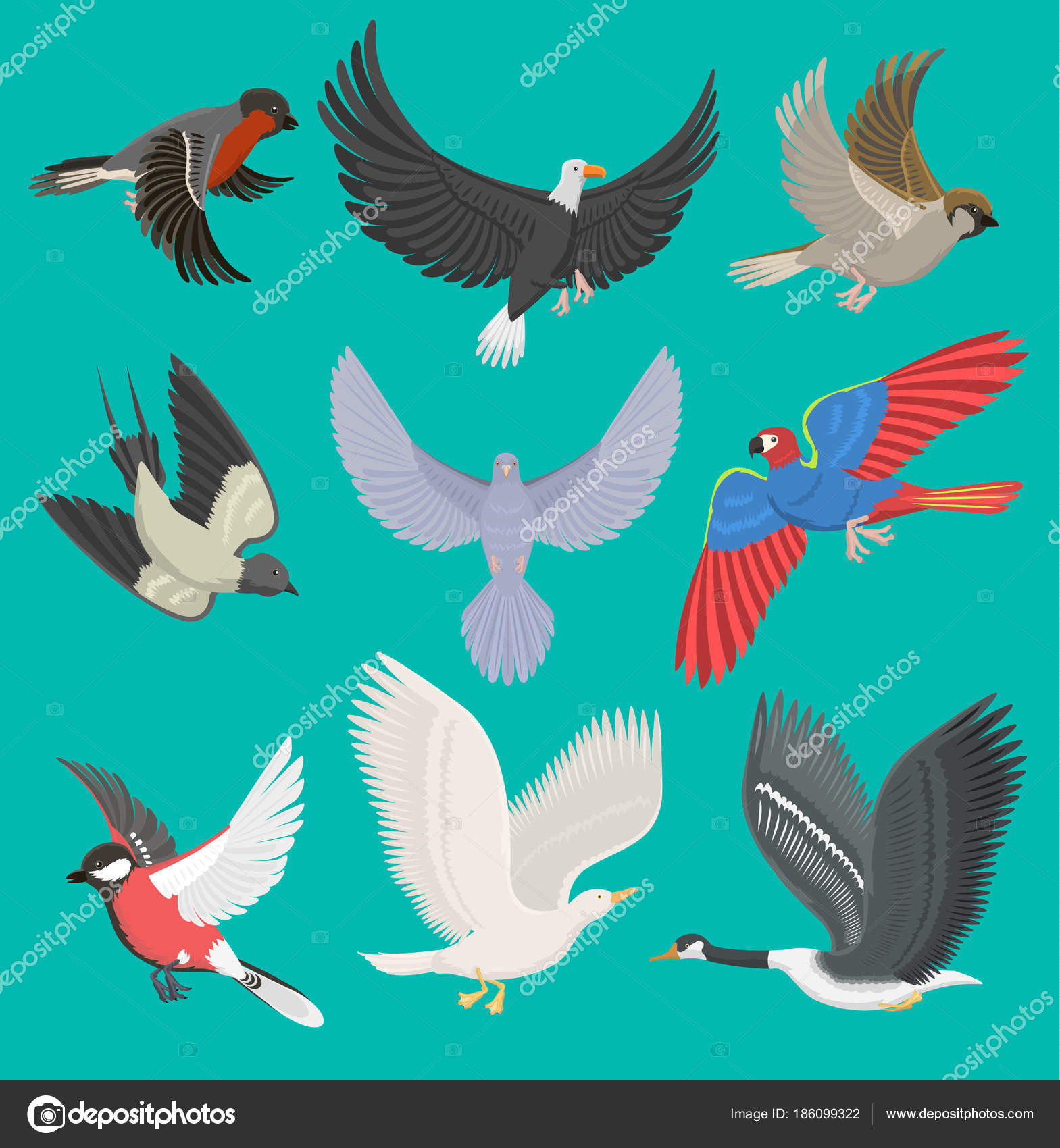 Fllying Oiseaux Vector Illustration Dessin Animé Mignon