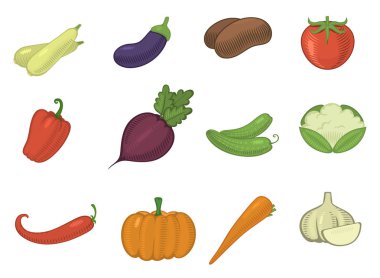 vektör sağlıklı sebze domates, havuç, patates vejetaryenler kabak organik gıda vegetably internet Mağazası illüstrasyon vegetated modern arka plan üzerinde izole kümesi simgeleri