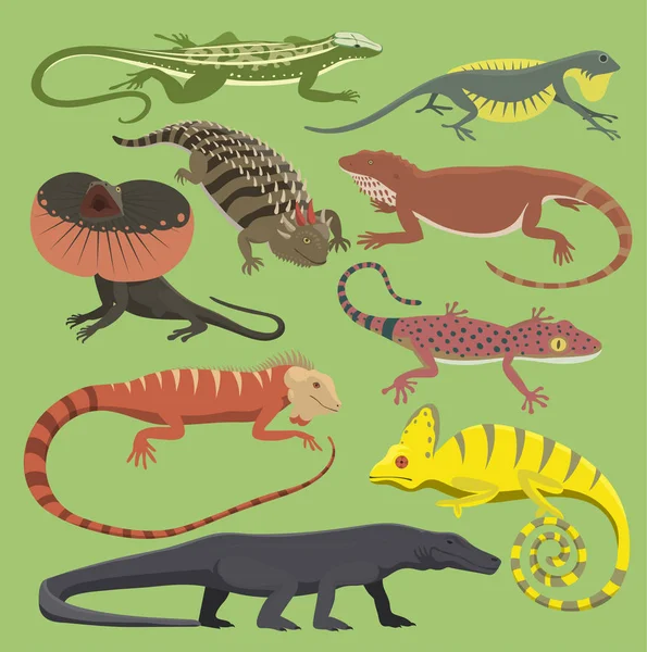 Рептилія Векторні ящірки рептилії ізольовані ілюстрації дикий мультфільм природа дракон ящірка геко, гамелеон рептилій дизайн плоский малюнок тіла монстра — стоковий вектор