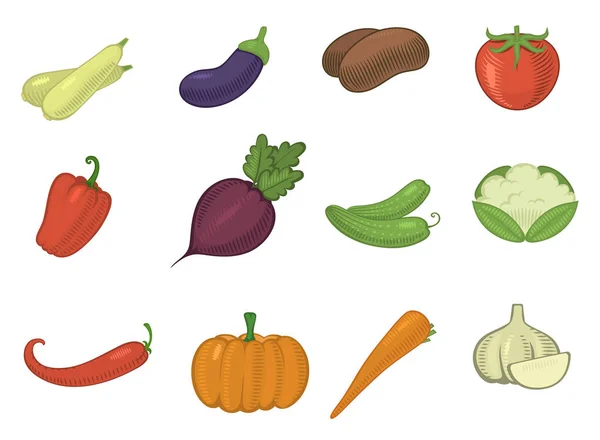 Vektorgemüse gesunde Tomaten, Karotten, Kartoffeln Vegetarier Kürbis Bio-Lebensmittel moderne Gemüse Webshop Illustration Vegetation Symbole auf Hintergrund gesetzt isoliert — Stockvektor