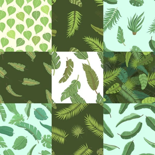 Tropikalny wektor liści zielony dżungla egzotyczny palm liść zwrotnik letnich roślin botanicznych Hawaje flora ilustracja wzór tle natura — Wektor stockowy