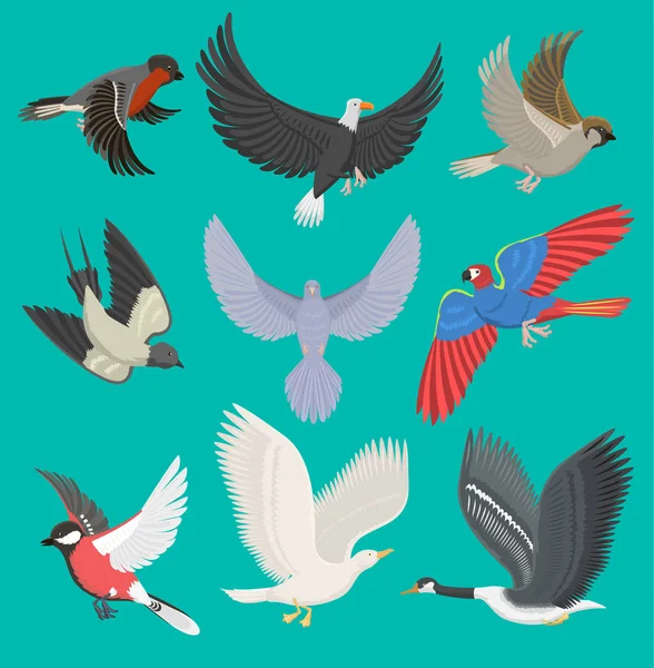 Fliegende Vögel Vektor Illustration Cartoon niedliche Fauna Feder Flug Tier Silhouette Frühling Freiheit natürliches Konzept. Wildtiere zeichnen isolierte Fliegenvögel mit Flügeln — Stockvektor