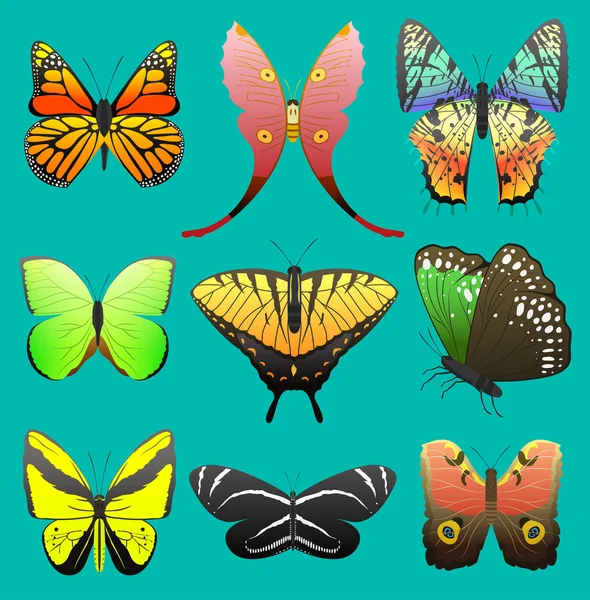 Πεταλούδα διάνυσμα πολύχρωμα έντομα ιπτάμενα για διακόσμηση και όμορφη πεταλούδες πετούν φτερά άνοιξη εικονογράφηση οριστεί απομονωθεί σε λευκό φόντο — Διανυσματικό Αρχείο