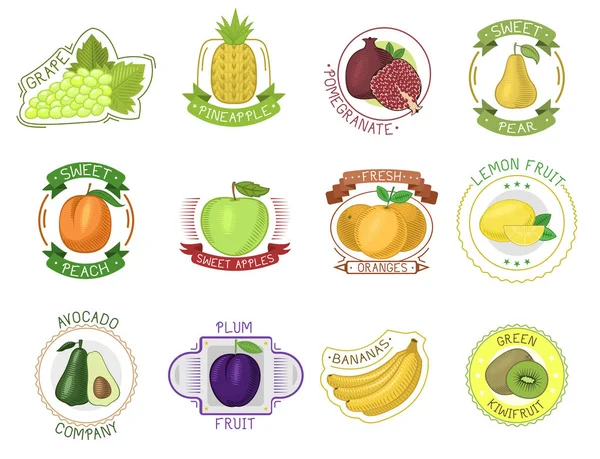 Frutas rótulo vetor frutado maçã, laranja, pacote de suco de banana e frutífero sinal de manga ou suculentos adesivos de baga logotipo conjunto ilustração isolada no fundo branco — Vetor de Stock