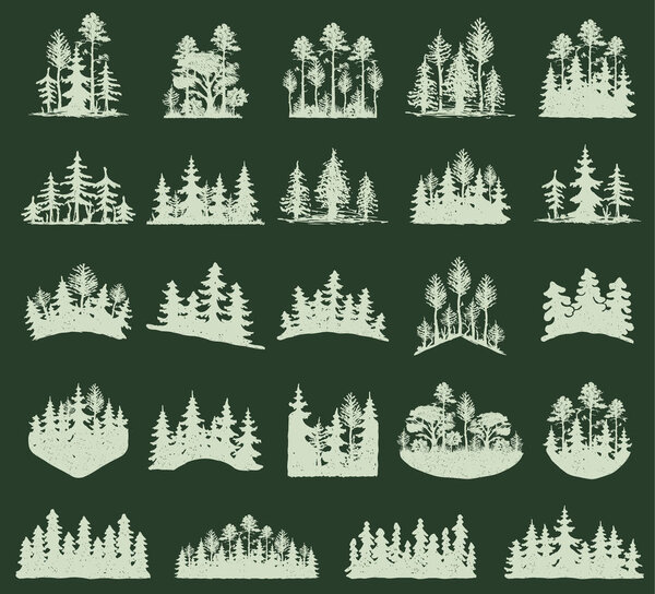 Векторный силуэт лесных деревьев на открытом воздухе путешествия зеленый силуэт логотип леса хвойные природные значки вершины сосновой елки ветви кедра и листьев растений абстрактный стебель рисования векторной иллюстрации
