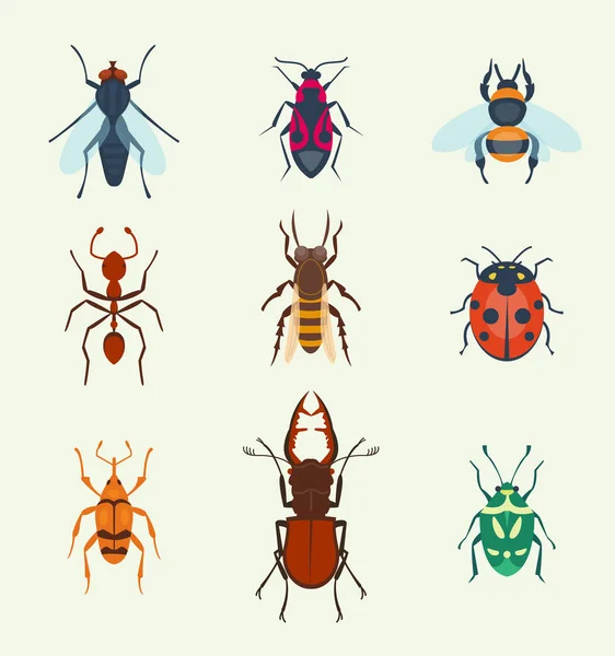 Vector insects icons isolated on background colorful top view illustration of wildlife wing fly insects detail macro animalssummer bugs illustration. — Stock Vector