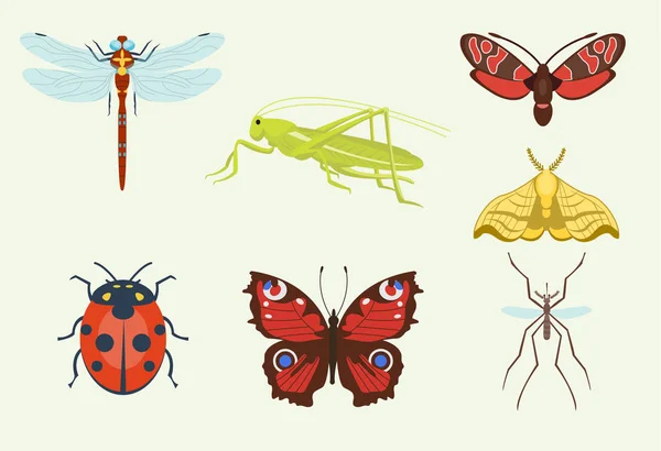 Insetos vetores ícones isolados no fundo colorido vista superior ilustração de animais selvagens asa mosca insetos detalhe macro animaisverão insetos ilustração . —  Vetores de Stock