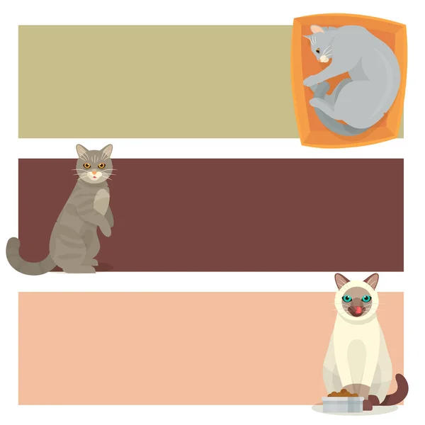 Farklı kedi kartları sevimli kedicik evde beslenen hayvan karikatür sevimli hayvan cattish karakter kümesi kedi gibi illüstrasyon afiş — Stok Vektör