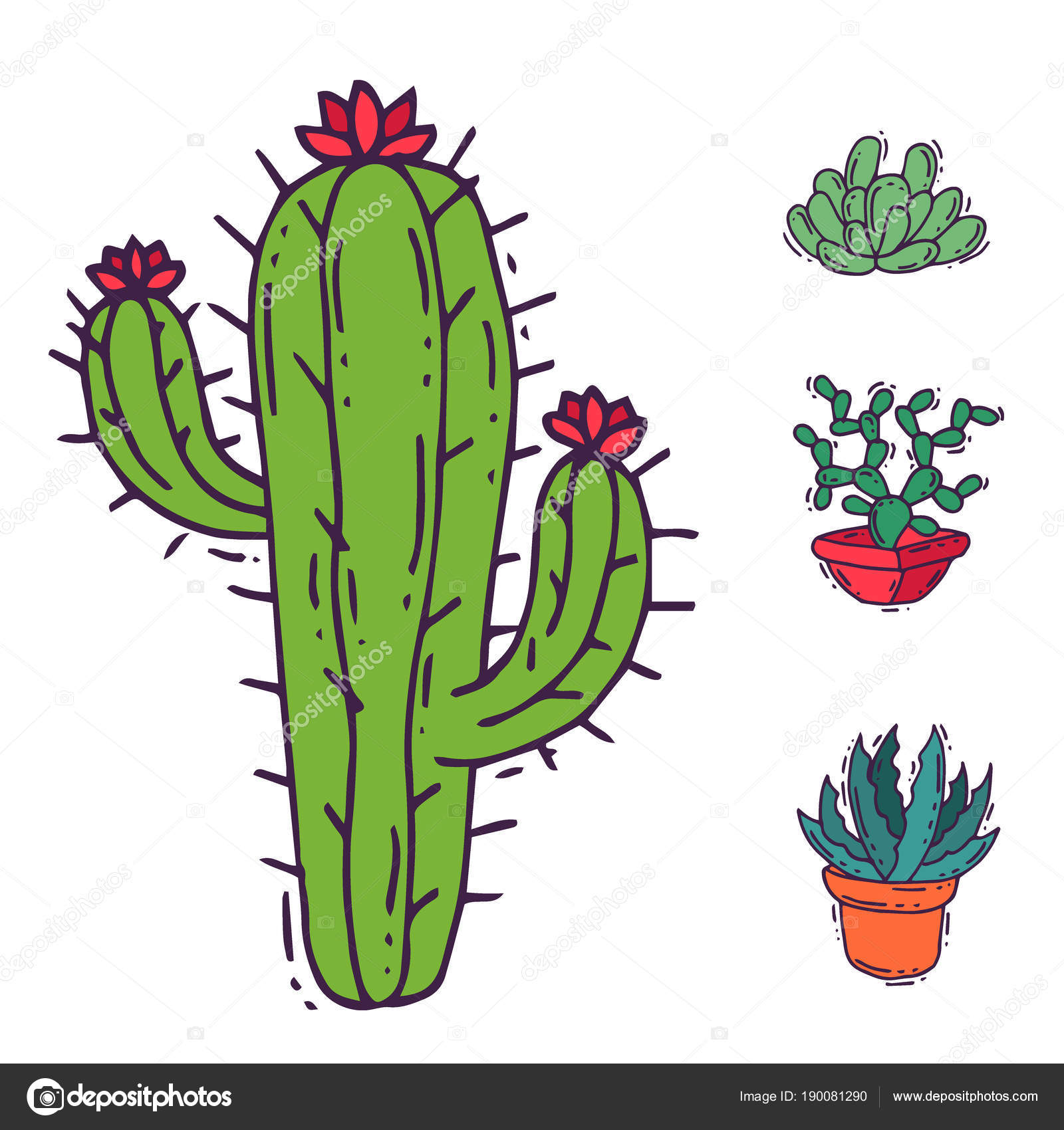 Ilustração de planta de oito cactos, Desenho Cactaceae Planta