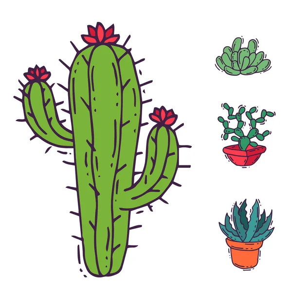 Ilustracja wektorowa charakter domu Kaktus roślina zielony cactaceous drzewa z kwiatem — Wektor stockowy