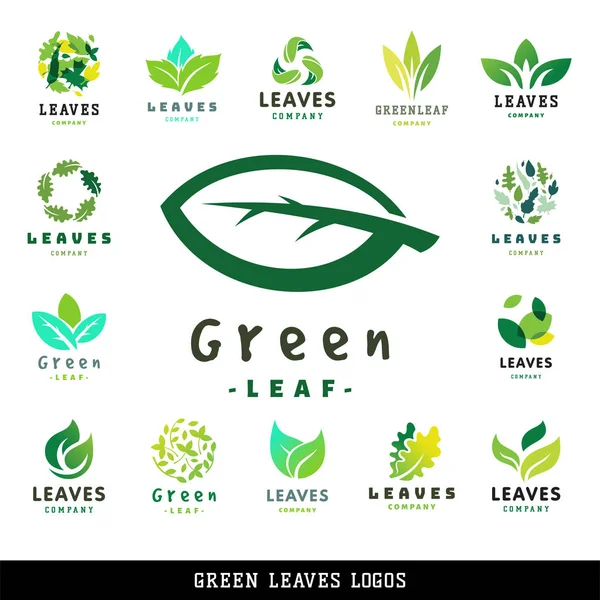 Grönt blad eco design vänlig natur elegans symbol och naturlig beståndsdel ekologi ekologisk vektorillustration. — Stock vektor