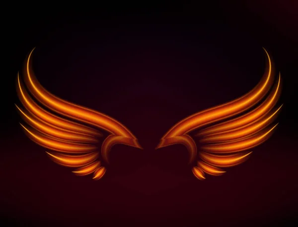 Bird fire wings vector fantasia pena queimando mosca místico brilho fogo queimar quente arte asas ilustração no preto . — Vetor de Stock