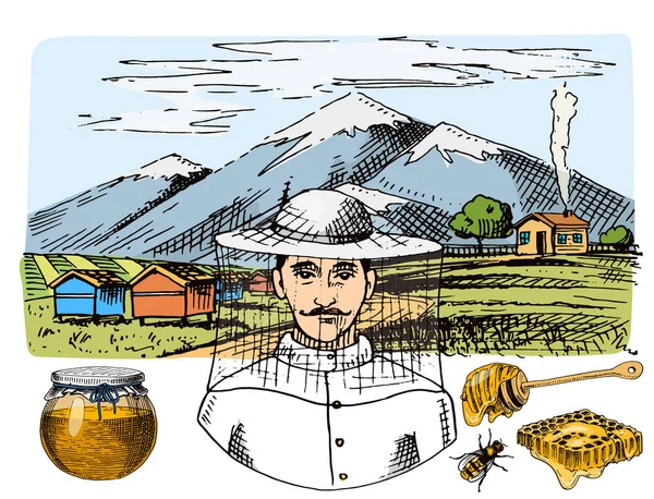 Apiary farm vector desenhado à mão mel vintage fazendo agricultor apicultor ilustração natureza produto por abelha — Vetor de Stock