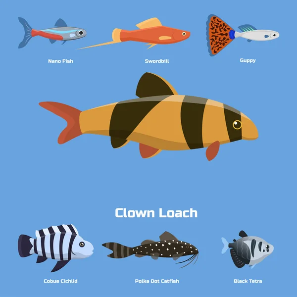 Exóticos peces de acuario tropical diferentes colores submarinos especies acuáticas naturaleza plana vector ilustración — Vector de stock