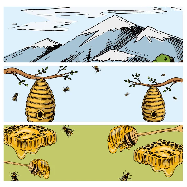 Včelín farma vektorové karty rukou nakreslené vintage med provedení farmář včelaře ilustrace přírodní produkt od bee — Stockový vektor