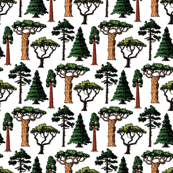 Vector boom stijl hand getrokken schets soorten groen bos pine boomtoppen collectie van berk, ceder en acacia of groen tuin met palm en sakura illustratie naadloze patroon achtergrond — Stockvector