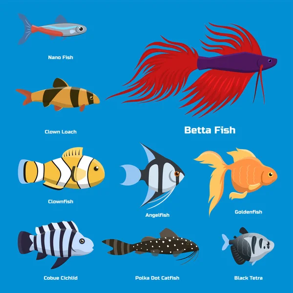 Aquário tropical exótico peixes cores diferentes subaquático oceano espécies natureza aquática plana vetor ilustração —  Vetores de Stock