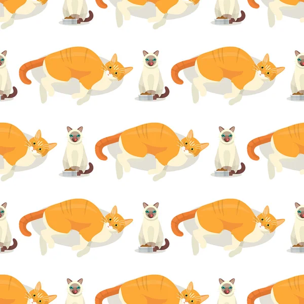 Kat broedt cute kitty huisdier cartoon schattige dieren cattish teken naadloze patroon achtergrond katachtig illustratie — Stockvector
