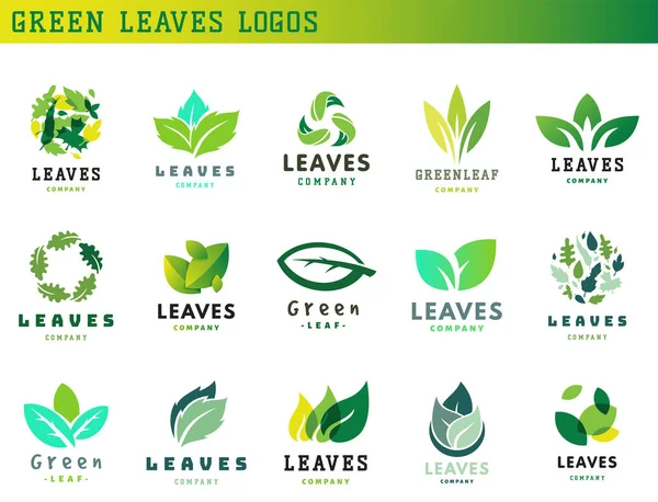 Groene blad eco design vriendelijke karakter elegantie symbool en natuurlijke element ecologie organische vectorillustratie. — Stockvector