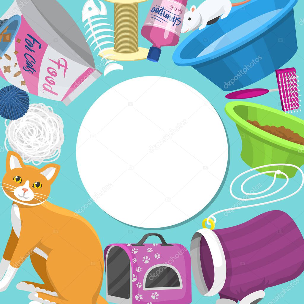 Pet care supplies vector illustration. Animal cares, food and toys for cat, toilet, carrier and equipment for grooming pets located around place for text.