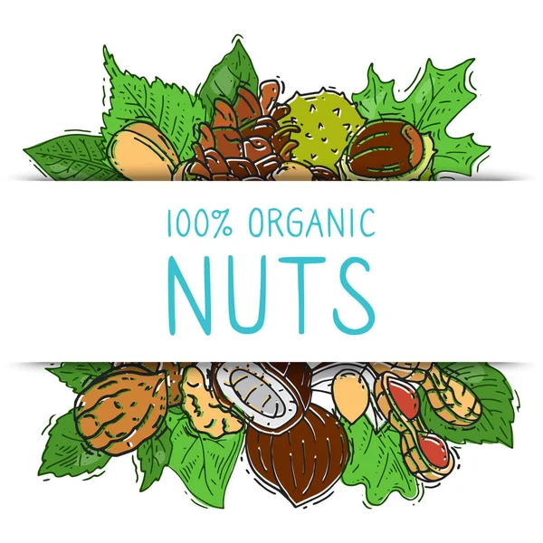 Nuts and seeds collection with paper label vector illustration. Mixed labelled organic nuts. Organic pecan, cashew, almond in square — 스톡 벡터