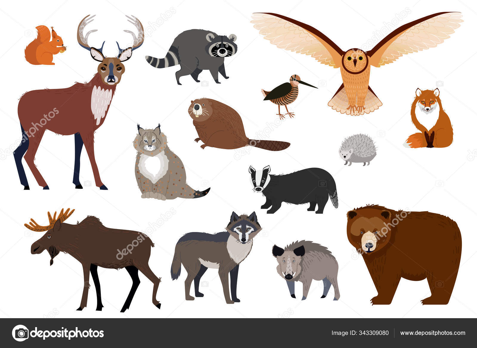 European and Canadian wild forest animals, set of isolated cartoon characters, vector illustration Stock Vector Image by ©vectordreamsmachine #343309080 European and Canadian wild forest animals, set of isolated cartoon characters, vector illustration Stock Vector Image by ©vectordreamsmachine #343309080