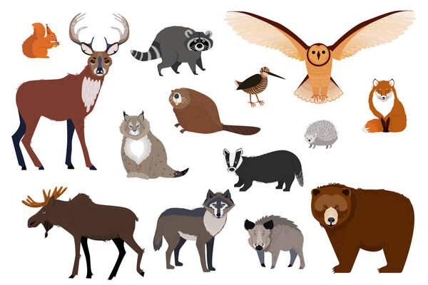 European and Canadian wild forest animals, set of isolated cartoon characters, vector illustration