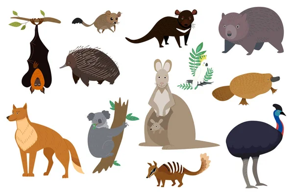 Animales australianos, conjunto de personajes de dibujos animados aislados canguro, koala y wombat, ilustración vectorial — Vector de stock