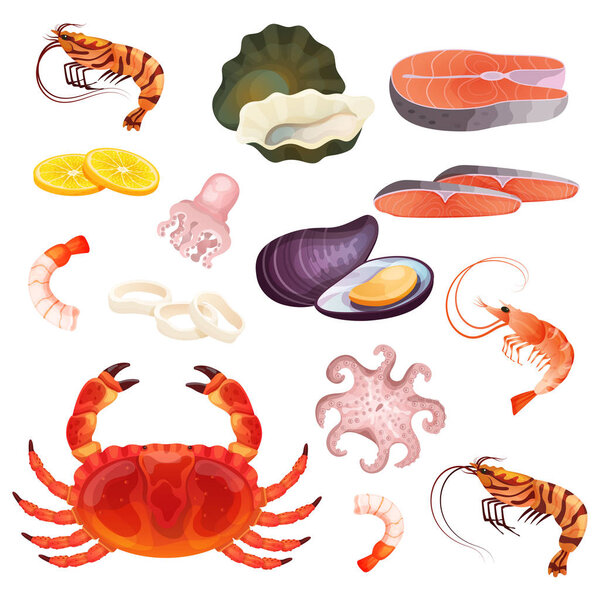 Seafood isolated on white, set of fresh ocean delicacies, oyster, prawn and shrimp, vector illustration