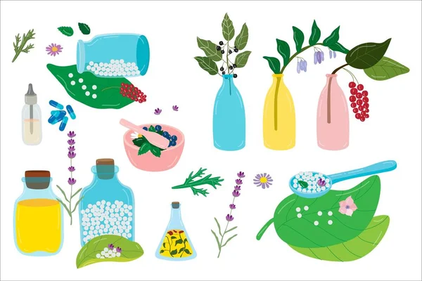Homeopatía plantas y medicamentos en orgánico natural homeopático dibujado a mano ilustración vectorial aislado en blanco . — Vector de stock