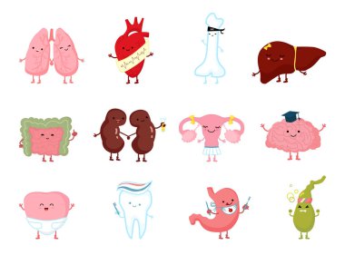 Tıbbi sağlık insan organları. Karakterde gülümseyen insan organları. Beyaza izole edilmiş anatomi sağlıklı vektör çizimi..