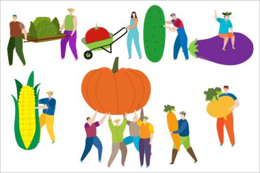 İş elbiseli küçük adam ve kadınlar, beyaz tenli doğal besin örnekleri içinde doğa ürünleri topluyor..