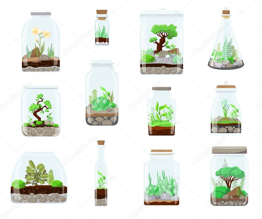 Nature green plant in glass terrarium garden, plant on decoration natural botany vector cartoon illustration isolated on white. Ecosystem grow in bottle compose. Succulent, tree, flower, cactus