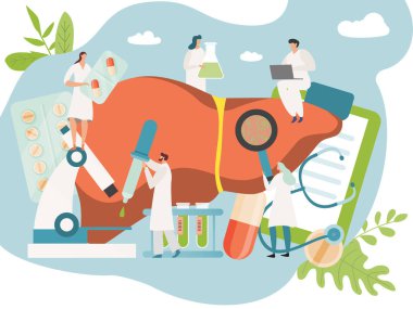 Karaciğer sağlığı konsepti, insan organı ilacı, küçük insanlar doktor ve hemşire, vektör illüstrasyonu.