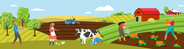 Trabalho do agricultor na ilustração do vetor do campo da fazenda, pessoas planas dos desenhos animados na paisagem rural, vaca do leite, frango da alimentação ou vegetais da planta —  Vetores de Stock