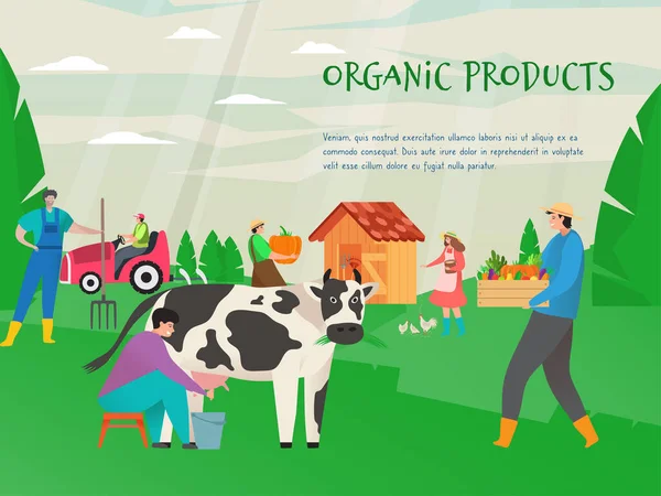 Biotermékek vektoros illusztrációja, természetes mezőgazdaság és gazdálkodási koncepció. A farmer tejeli a tehenet. A nő csirkét etet.. — Stock Vector