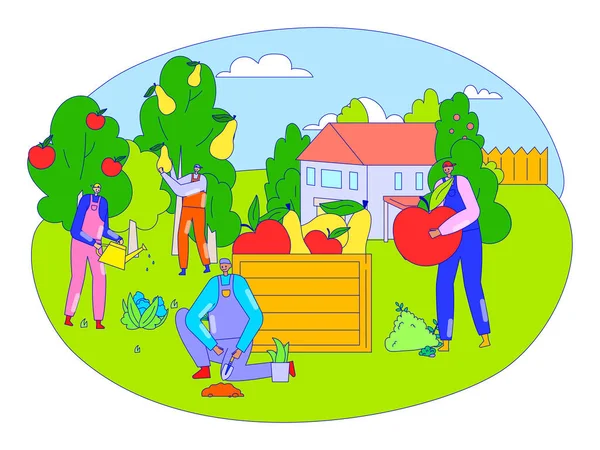 Agricultores colhendo frutas no pomar de verão, homens personagens de desenhos animados jardinagem, pessoas ilustração vetorial —  Vetores de Stock