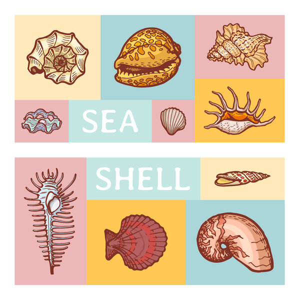 Sea shell cartoon vector illustration icon isolated on color tablet. Ocean cockleshell explore sea wildlife seaside study ancient fossils dweller.