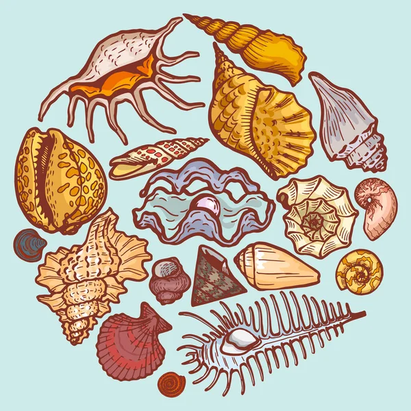 Schelp ronde pictogram concept geïsoleerd op blauwe, cartoon vector illustratie. Ocean cockleshell verkennen zee wilde dieren, set shell object weekdier. — Stockvector
