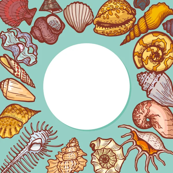 Kabuklar yuvarlak desenli konsept pankart vektör çizimi. Okyanus kabuğu deniz kabuğu ikonu, metin işi yerleştirme reklam broşürü. — Stok Vektör