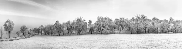 Árboles helados blancos en el paisaje cubierto de nieve — Foto de Stock