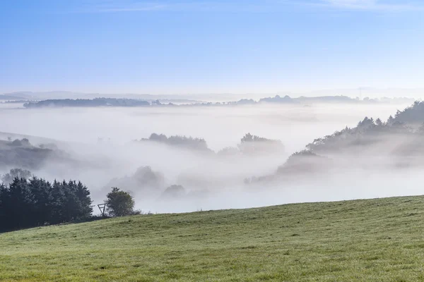 Nebbioso paesaggio rurale al mattino nell'eifel — Foto Stock