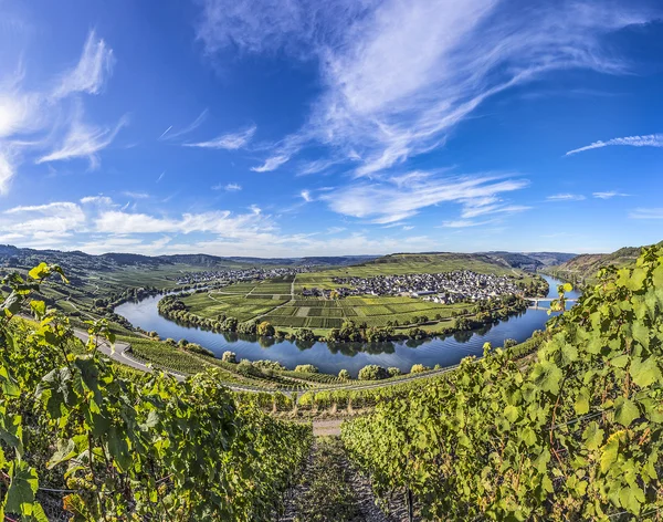 Słynnego pętli rzeki Mozela, w mieście Trittenheim — Zdjęcie stockowe