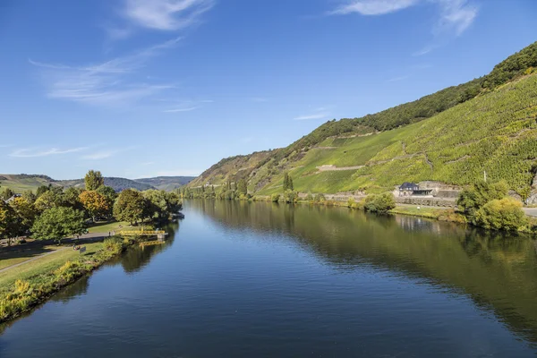 Famous Moselle landscape  in Trittenheim, Germany — Φωτογραφία Αρχείου
