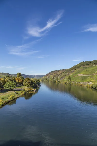Famous Moselle landscape  in Trittenheim, Germany — Stock fotografie