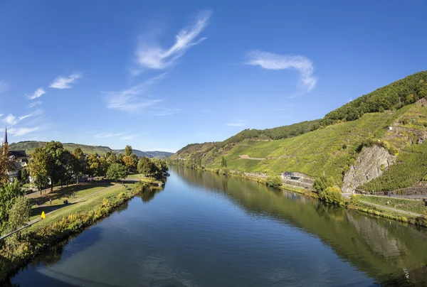 Famous Moselle landscape  in Trittenheim, Germany — Φωτογραφία Αρχείου